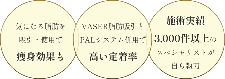 気になる脂肪を吸引・使用で痩身効果もVASER脂肪吸引とPALシステム併用で高い定着率施術実績3,000件以上のスペシャリストが自ら執刀